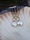 14K Gold Nauti Pearls Dangle Earrings
